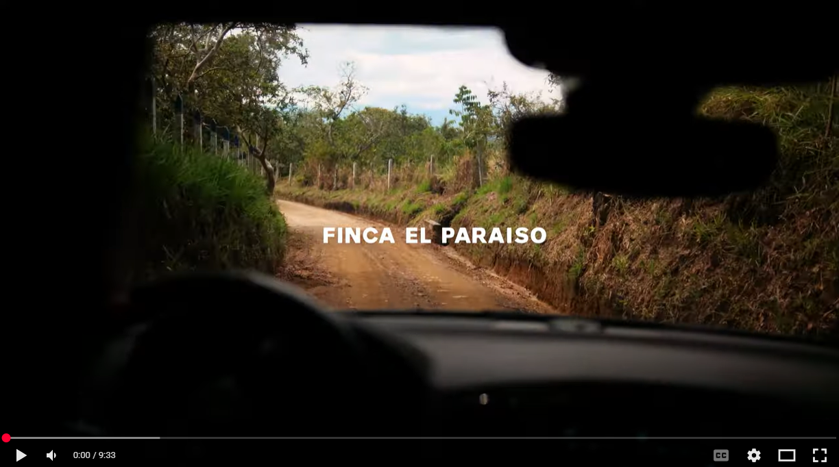 VIDEO: Colombian Innovation - Origin Highlights