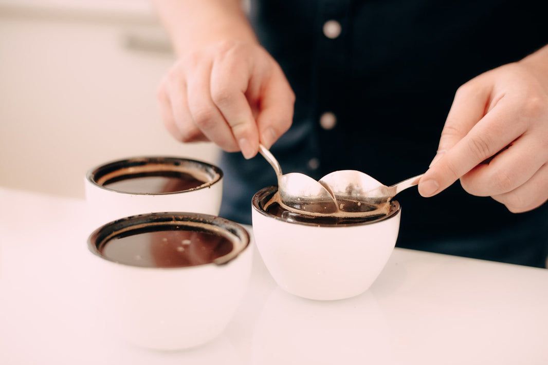Introduction to Specialty Coffee